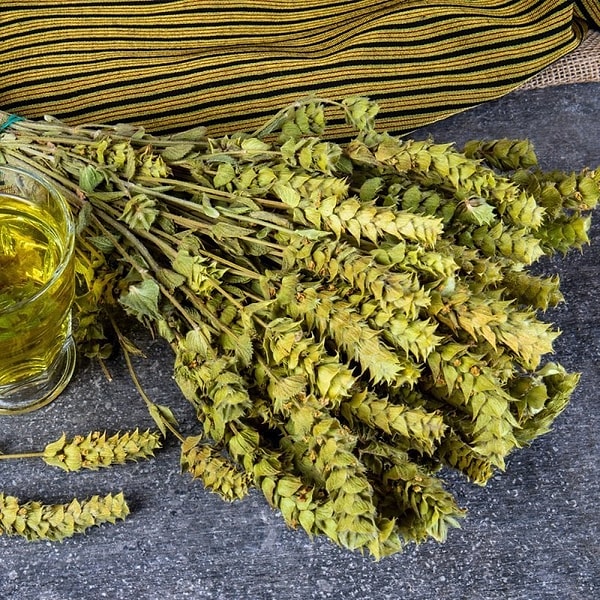 Bilimsel olarak Salvia officinalis olarak bilinen adaçayı, Akdeniz bölgesine özgü çok yıllık, yaprak dökmeyen bir bitkidir.