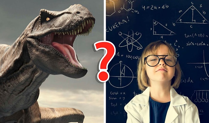 Тест для тех, кто никогда не считал себя глупым. Оправдана ли ваша вера в себя?