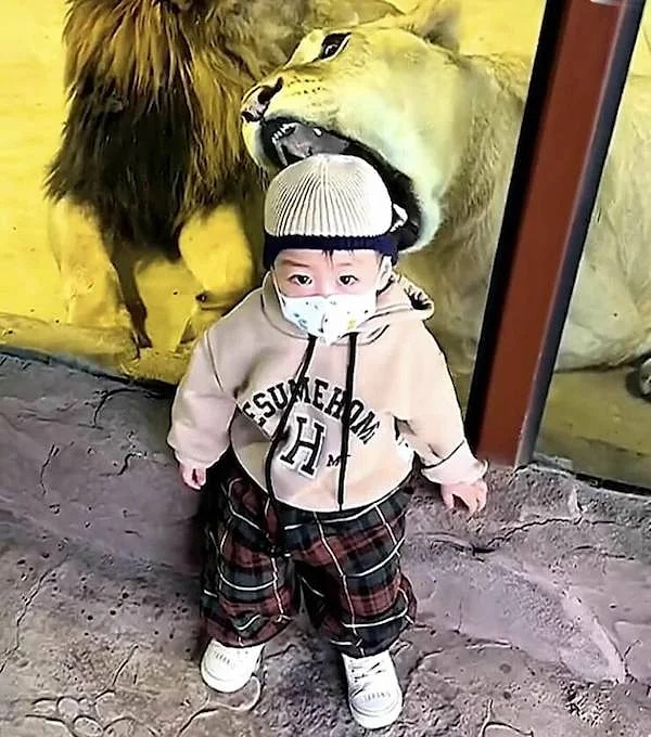 7. Ох уж эти обманы зрения...