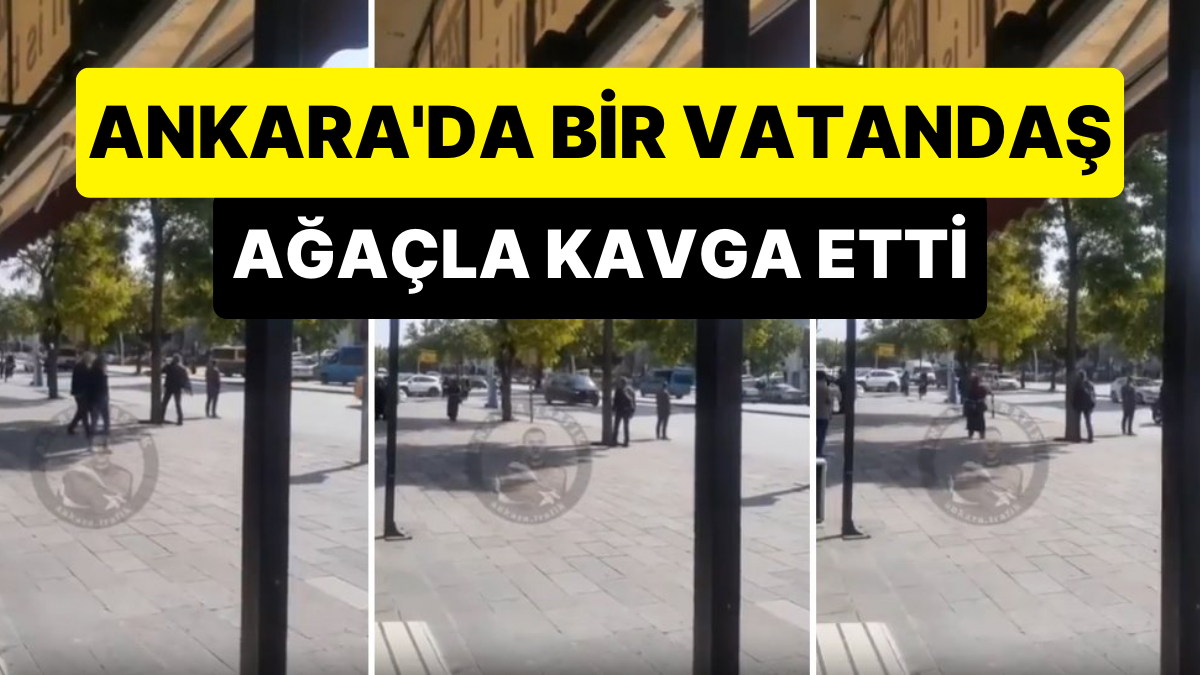 Ankara'da Bir Vatandaş Ağaçla Kavga Etti