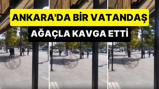 Ankara'da Bir Vatandaş Ağaçla Kavga Etti