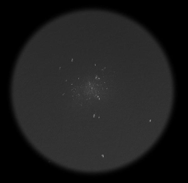 Messier 4 ile yapılan hesaplamalar, yaklaşık 800 güneş kütlesine sahip bir şey ortaya çıkardı.