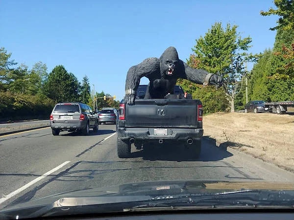 17. Водителям нужно быть осторожными...