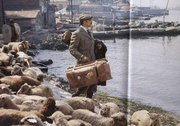 6. Koyunları güden bir çoban ve 007 James Bond, Salacak. (1974)