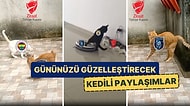 Finalde Karşılaşacak Fenerbahçe ve Başakşehir'in Kedili Paylaşımlarını Görmelisiniz!