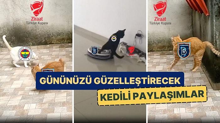 Finalde Karşılaşacak Fenerbahçe ve Başakşehir'in Kedili Paylaşımlarını Görmelisiniz!