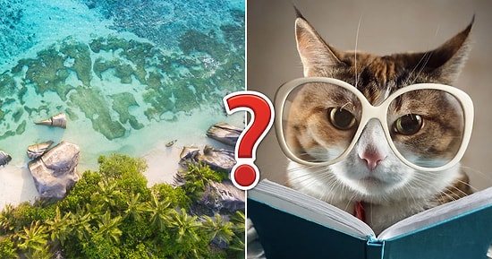 Тест по географии, который каждый образованный человек должен пройти на  13/15