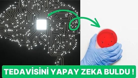 Bilim İnsanları Ölümcül Bakterinin Tedavisini Yapay Zeka Kullanarak Buldular