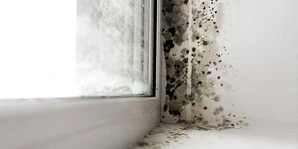 Evinizin duvarlarından rutubet sebebiyle oluşan küfler sağlığınızı ciddi şekilde tehdit edebilir.