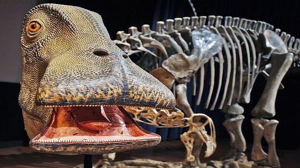 17. Mezozoik inekler olan "Nigersaurus"lar, dişlerini neredeyse on dört günde bir olacak sıklıkta değiştiriyordu.