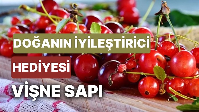 Vişne Sapı Çayı Nasıl Hazırlanır? Doğanın İyileştirici Hediyesi Vişne Sapı Ne İşe Yarar?