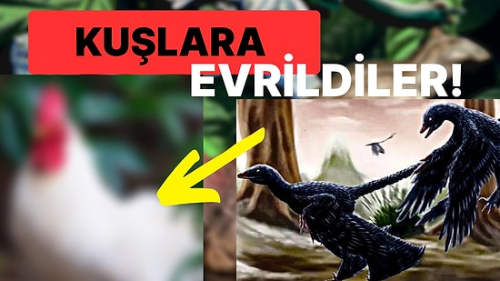 Hâlâ Yaşıyorlar! Dinozorlara Dair Daha Önce Duymadığınızı İddia Ettiğimiz En İlginç 19 Gerçek