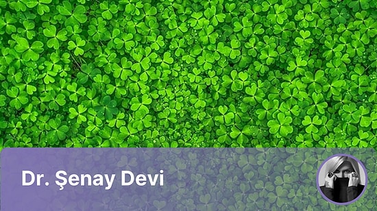 Haziran 2023'te Her Burç İçin Şanslı Günler