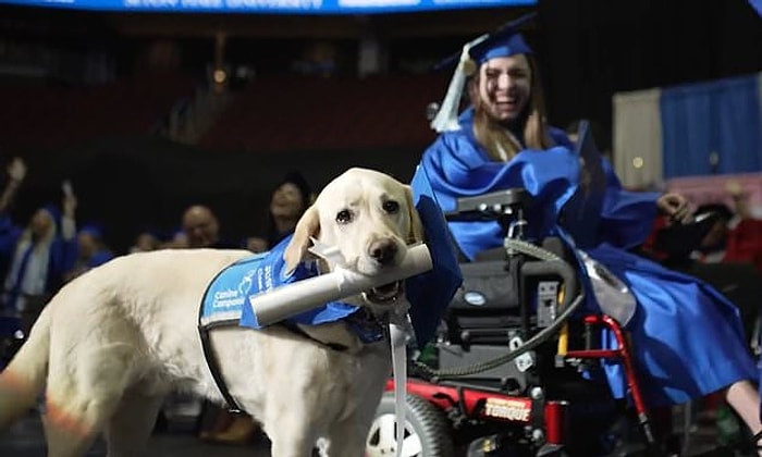 Собака, окончившая университет вместе со своей хозяйкой, стала вирусной в соцсетях