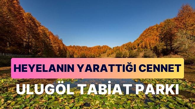 Ulugöl Tabiat Parkı: Ordu'nun Saklı Hazinesi Sessizliğin ve Huzurun En İyi Adresi