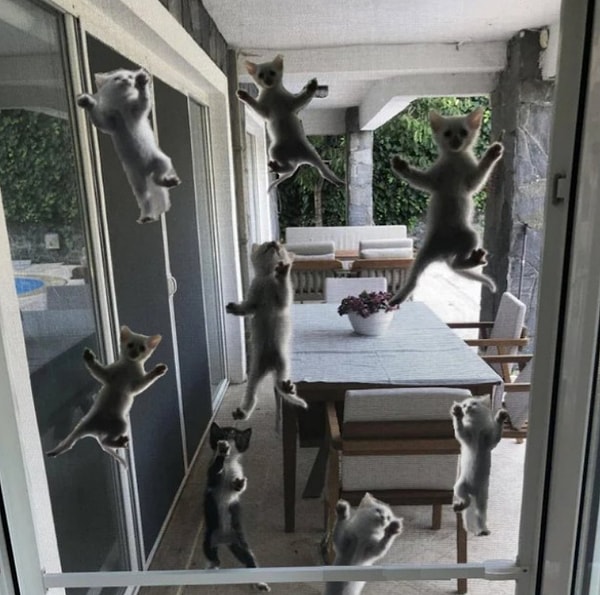 5. О нет! Это нападение мимишности на ваше жилище