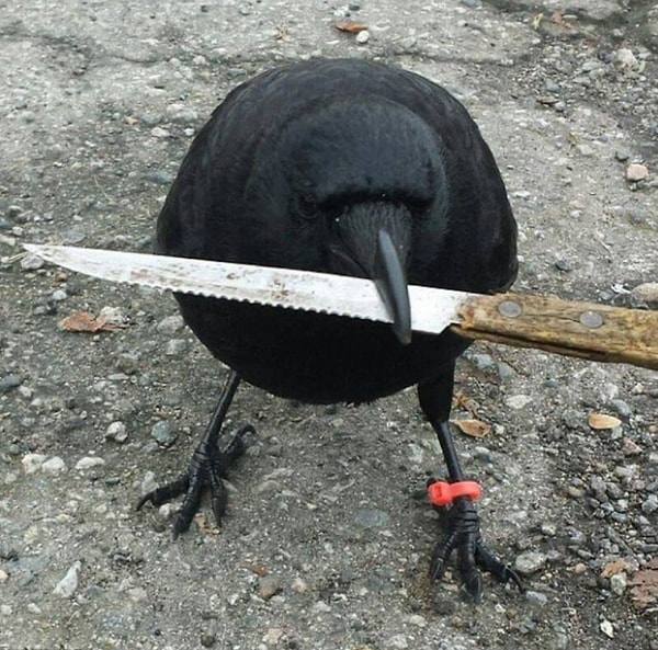 17. Гоп-стоп. Кошелек или жизнь?