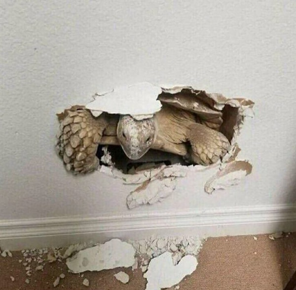 28. «Здравствуйте, хотите посмотреть каталог „Орифлейм“?»