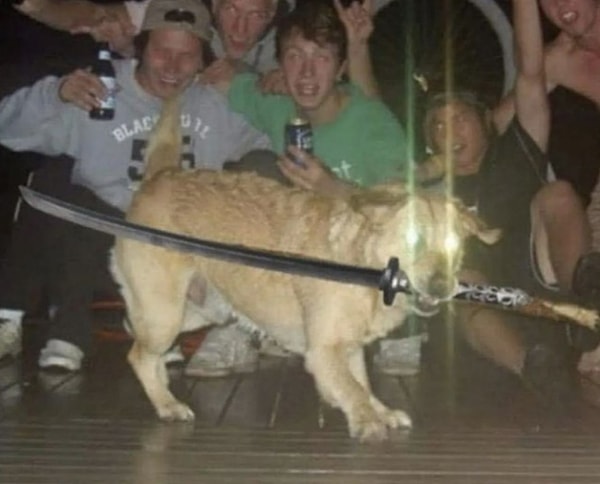 33. Когда под шумок решил спереть коллекционное оружие, но не вышло