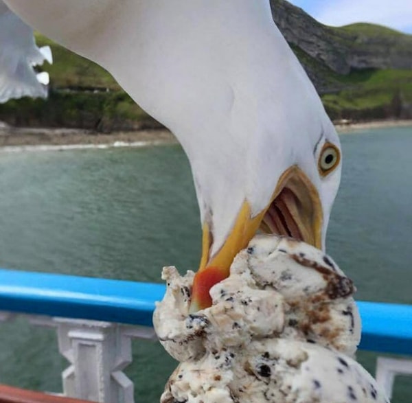 37. «Надо делиться с ближним!»