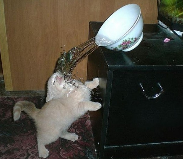 39. Остановись, мгновение