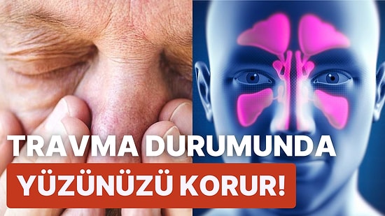 Sinüslerimiz Aslında Ne İşe Yarar?