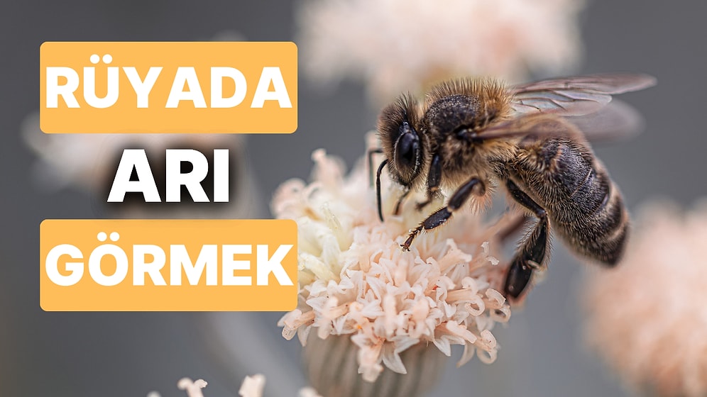 Rüyada Arı Görmek: Emekleriniz Karşılığında Sosyal Statünüz Artacak