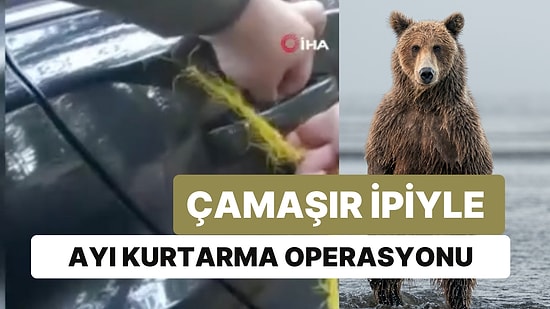 Çamaşır İpiyle Ayı Kurtarma Operasyonu