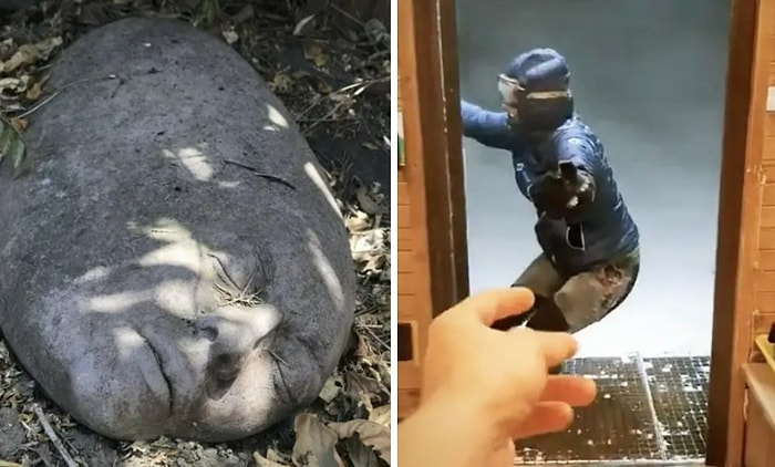 20 кошмарных фото, которые заставят вас протереть глаза миллиард раз