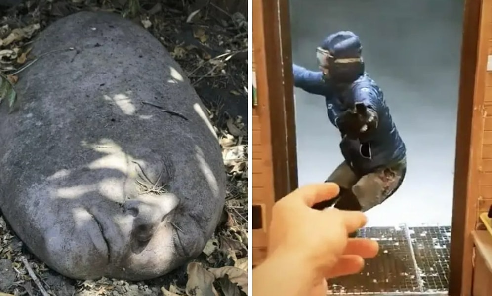 20 кошмарных фото, которые заставят вас протереть глаза миллиард раз