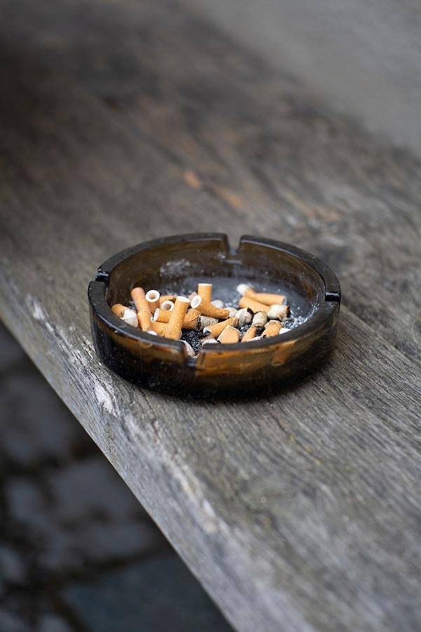 Tütün ürünleri için yılda 1.4 trilyon dolar harcama yapılırken 600 milyondan fazla ağaç kesildiği de Dünya Sağlık Örgütü'nün yaptığı açıklamalar arasında yer alıyor.