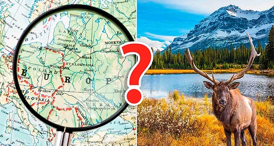 Тест для отчаянных географов: 20 вопросов про мир, которые покоряться только экспертам