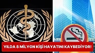 Dünya Sağlık Örgütü'nün Yaptığı Açıklamaya Göre 30'lu Yaşlarda Sigarayı Bırakan Kişiler 10 Yıl Fazla Yaşıyor