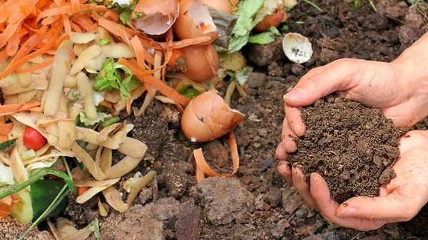 11. Kompost yapma yöntemini deneyin.