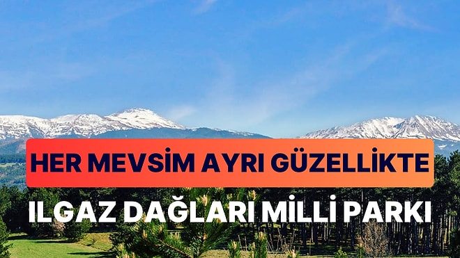 Ilgaz Dağları Milli Parkı: Kastamonu'nun Görkemli Doğa Hazinesi Sizi Bekliyor!