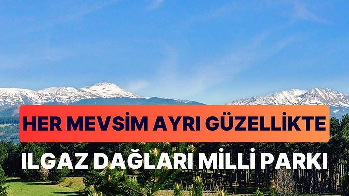 Ilgaz Dağları Milli Parkı: Kastamonu'nun Görkemli Doğa Hazinesi Sizi Bekliyor!