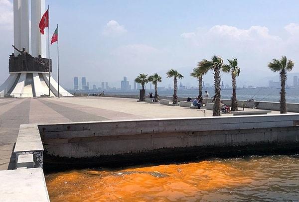 İzmir Körfezi'nde Bostanlı, Karşıyaka, Bayraklı, Konak, Narlıdere gibi birçok noktada suyun kırmızı ya da turuncu renklere döndüğü görüldü.