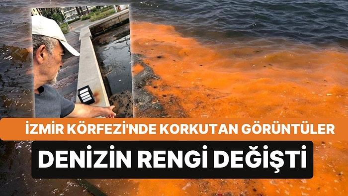İzmir Körfezi'nde Tedirgin Eden Renk Değişimi