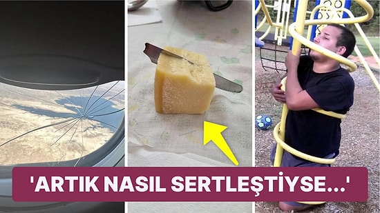 Çöle Düşse Kutup Ayılarıyla Karşılaşıp Birtakım Tatsız Olaylar Yaşayabilecek 15 Bahtsız Kişi