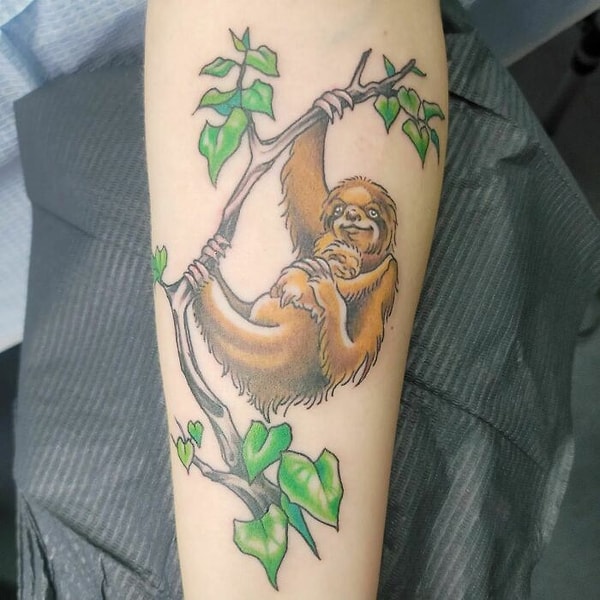 25. Семья ленивцев