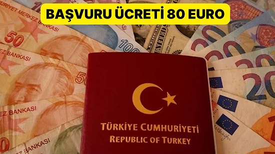 Yurt Dışına Seyahat Hayal Oldu: İki Kişiden Biri Ret Alıyor