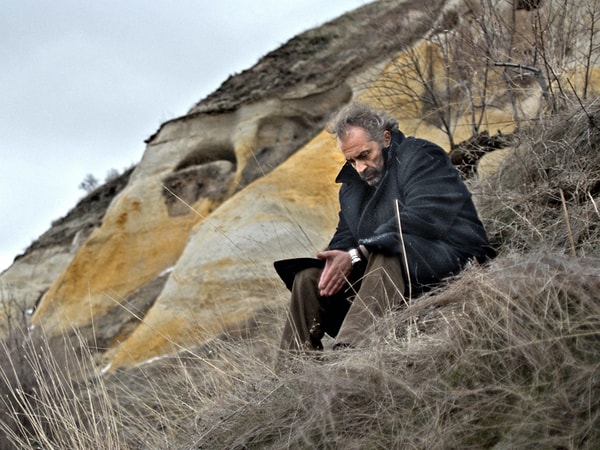 2. Kış Uykusu, 2014