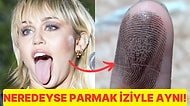 Dil İzimizin Yapısı Nasıldır ve Parmak İzi ile Benzerlikleriyle Farklılıkları Nelerdir?