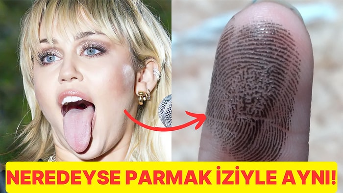 Dil İzimizin Yapısı Nasıldır ve Parmak İzi ile Benzerlikleriyle Farklılıkları Nelerdir?