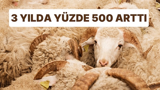 Kurbanlık Fiyatlarındaki Artış Dikkat Çekti: Diyanet 3 Yılda Yüzde 500 Zam Yaptı!