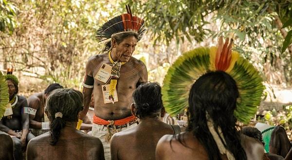 Brezilya’da yaklaşık 900 bin yerli yaşıyor ve bu yerlilerin de yaklaşık yüzde 60’ı Amazon yağmur ormanlarında ikamet ediyor.