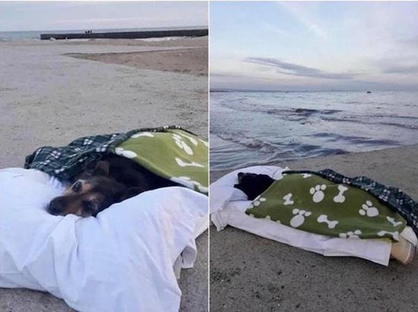 2. Bir adam ölümcül hastalığa yakalanan köpeğini belki tekrar göremez diye deniz kenarına getirmiş...