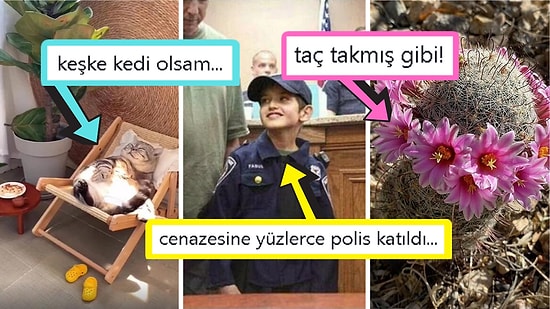 Gördüğünüz Anda İçinizin Yağlarını Eritip Sizi Pamuk Gibi Yapacak Birbirinden Etkileyici 15 Görsel