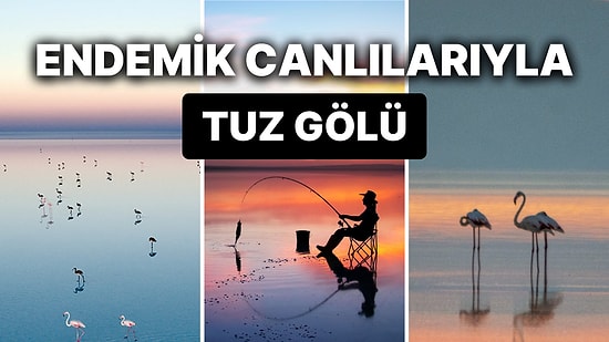 Tuz Gölü Nerede ve Nasıl Oluştu? Tuz Gölü'nün Oluşumu ve  Eşsiz Faunası