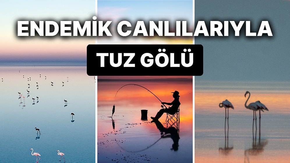 Tuz Gölü Nerede ve Nasıl Oluştu? Tuz Gölü'nün Oluşumu ve  Eşsiz Faunası